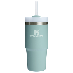 Stanley tumbler with a handle and straw, featuring a light blue color and stainless steel band.