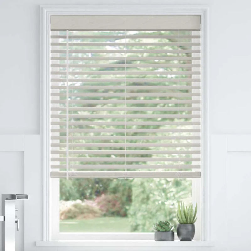 White horizontal window blinds cover a window, with two small potted succulents placed on the windowsill.
