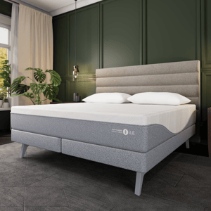 A grey Sleep Number 360 Smart Bed with a modern design and layered mattress is shown in a stylish bedroom with a tufted headboard, potted plant, and dark green walls.