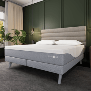 A grey Sleep Number 360 Smart Bed with a modern design and layered mattress is shown in a stylish bedroom with a tufted headboard, potted plant, and dark green walls.