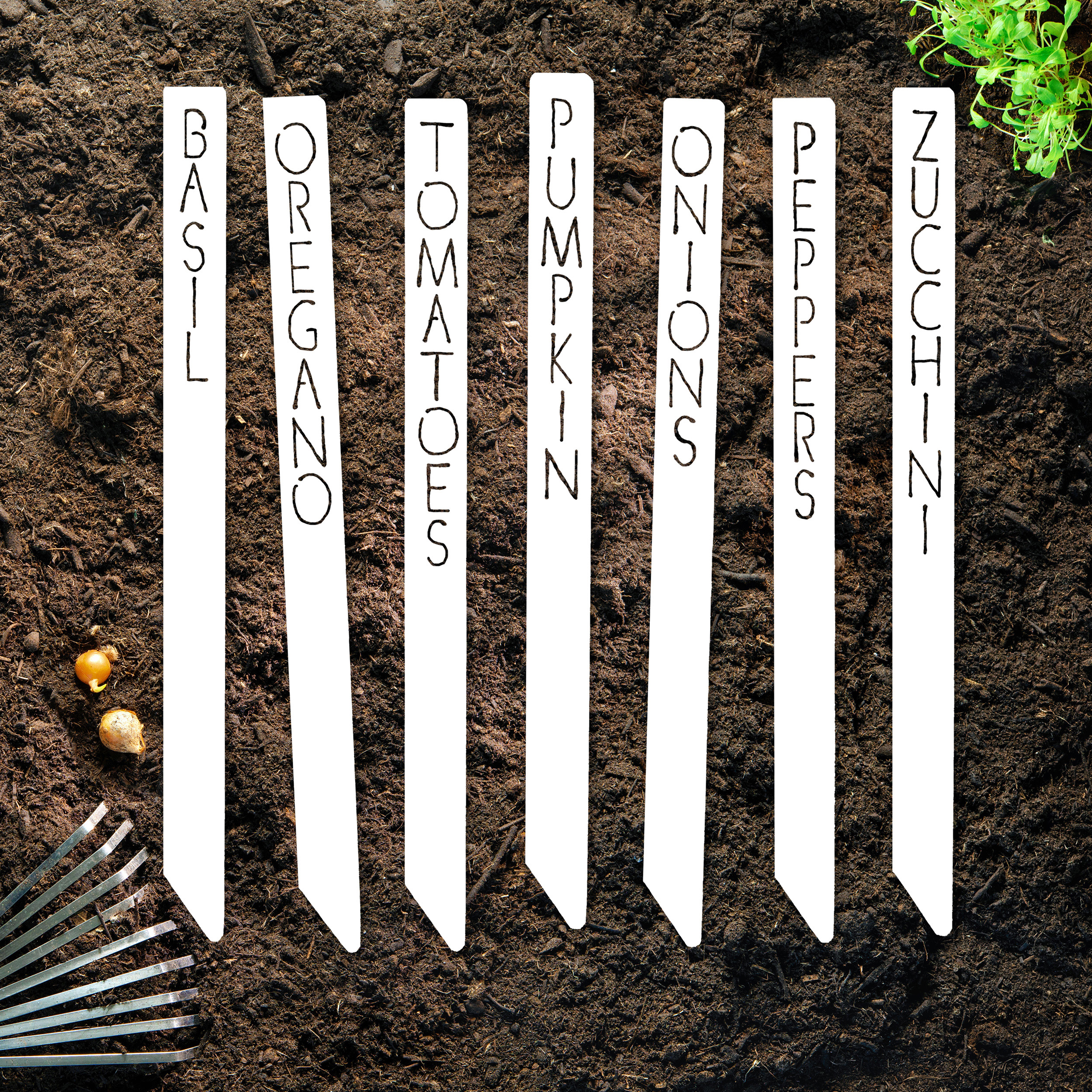 Set of 7 white garden stakes labeled vertically with \“Basil,\“ \“Oregano,\“ \“Tomatoes,\“ \“Pumpkin,\“ \“Onions,\“ \“Peppers,\“ and \“Zucchini,\“ placed on soil with small onions and a rake visible.