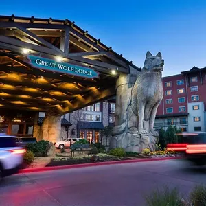 Entrance of Great Wolf Lodge with a large wolf statue overhead and moving vehicles at twilight.