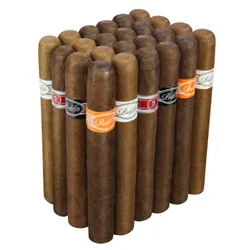 A bundle of 24 cigars with Padilla branded bands in shades of white, orange, and black are arranged vertically.