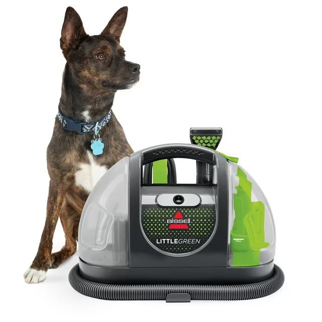 A Bissell Little Green portable carpet cleaner next to a brown and black dog wearing a blue collar with a tag.