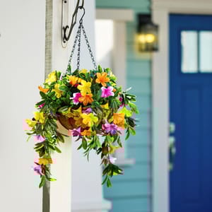 A set of two faux-azalea hanging baskets featuring vibrant yellow, orange, and pink flowers with green foliage, suspended by a chain against a backdrop of a light blue house and a navy blue door.