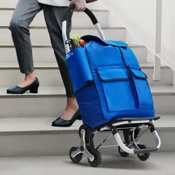 A person uses a stair-climbing shopping cart with a blue bag and three-wheel design to easily navigate stairs while carrying groceries.