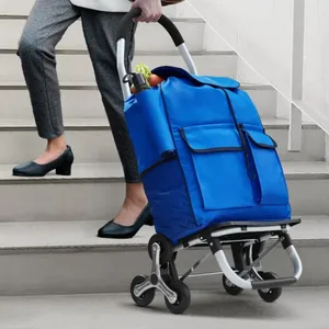 A person uses a stair-climbing shopping cart with a blue bag and three-wheel design to easily navigate stairs while carrying groceries.
