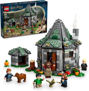 LEGO Harry Potter set \“Hagrid's Hut: An Unexpected Visit\“ (76428) for ages 8+, featuring 896 pieces, includes characters, and a detailed hut build.