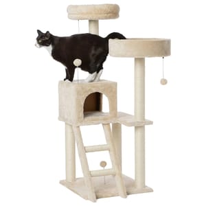 A multi-level cat tree with scratching posts, platforms, a ladder, a cubby, and hanging toy, accompanied by a black and white cat.