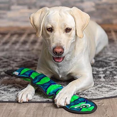 A Labrador Retriever lies on a rug holding a colorful, green and blue snake-shaped dog toy in its paws.