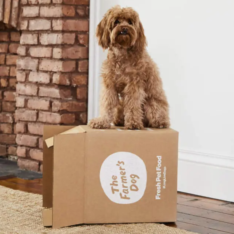 A fluffy brown dog sits on a cardboard box labeled \“The Farmer's Dog,\“ which promotes fresh pet food. In the background, there's a brick fireplace and a stack of books with a small orange ball on top.