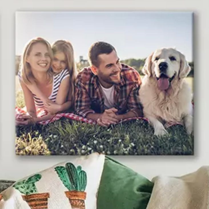 A family photo canvas print shows a smiling group with a man, woman, child, and large dog lying on grass. In the background, decorative pillows with cactus designs are visible.