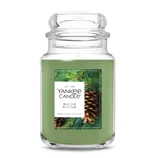Yankee Candle Balsam & Cedar scented candle with a green wax, featuring a pine and cedar fragrance.