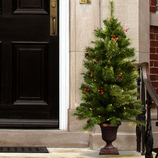 A small artificial Christmas tree in a decorative pot, adorned with lights, red berries, and pinecones, placed outside next to a black front door.