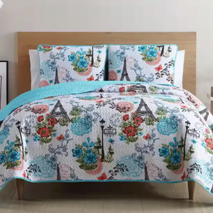 A quilt and pillow set with a Parisian-themed design featuring the Eiffel Tower, flowers, and streetlamps in red, blue, and green colors.