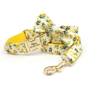 A leash and collar set with a yellow lemon pattern and a matching bow tie, featuring a gold buckle engraved with the name \“Piper\“ and a phone number.