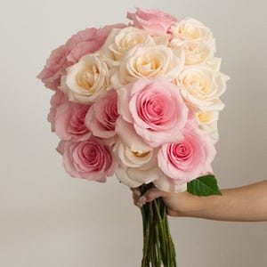 A bouquet of two dozen roses features a mix of pastel pink and creamy white blooms, held together with green stems. The flowers are arranged in a compact and elegant fashion, showcasing the delicate texture and soft colors of the roses.
