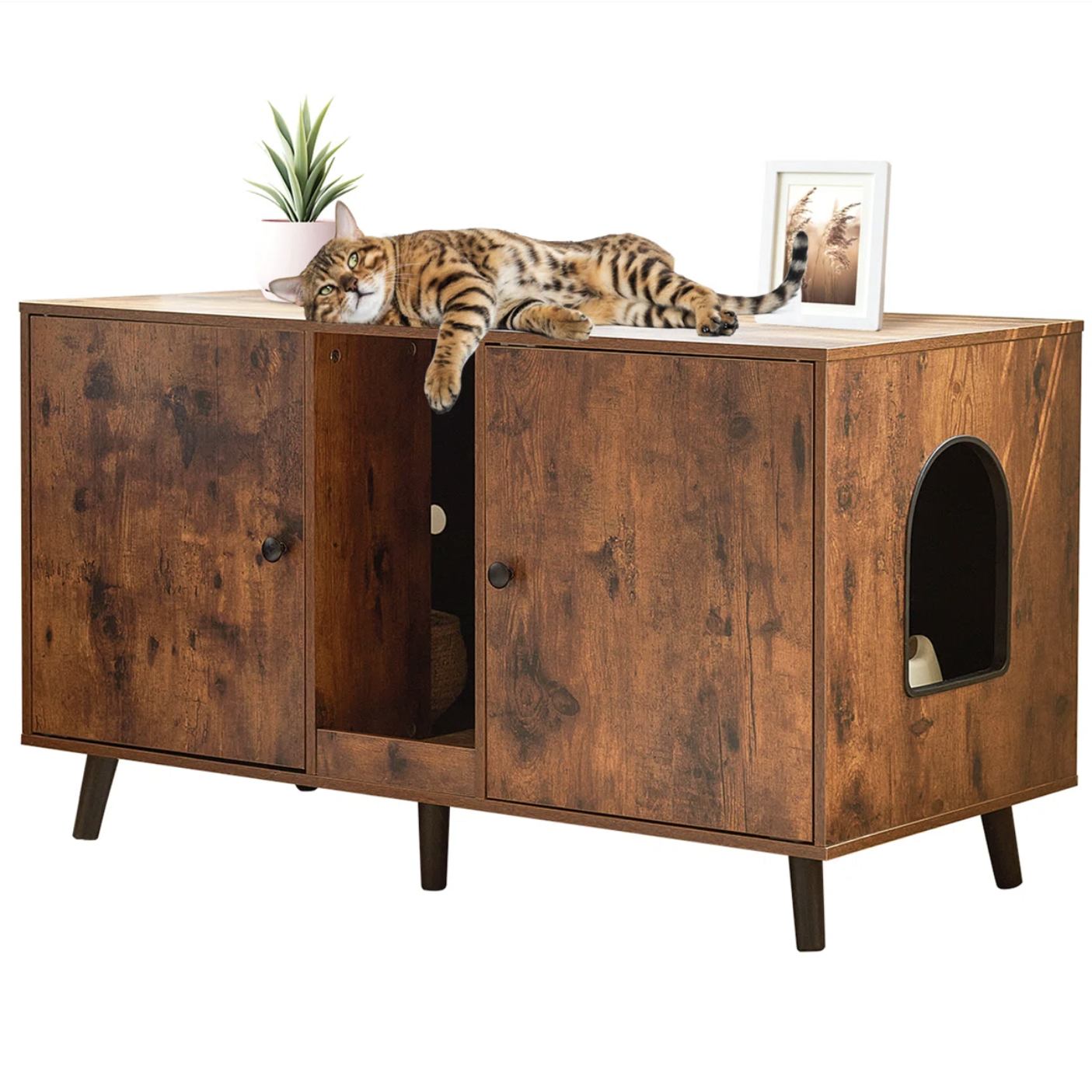 A wooden cabinet with a cat doorway is shown, featuring two doors and a shelf inside. A cat lies on top alongside a small potted plant and a framed photo.