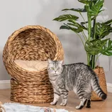A gray tabby cat stands next to a round, woven pet bed with a cushioned interior. Nearby are a potted plant, a wrapped gift box, and a gray sofa on a fluffy rug.