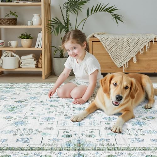 A young child sits on a decorative area rug alongside a golden retriever in a cozy, well-furnished living room with a wooden cabinet, plant, and neatly arranged shelves in the background.