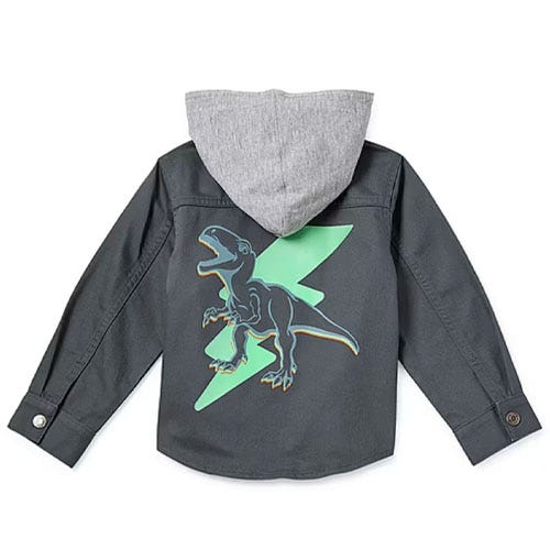 A black jacket with a gray hood and a large dinosaur graphic over a green lightning bolt on the back.