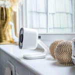 A white security camera with a flexible stand positioned on a windowsill next to a decorative sea urchin ornament.