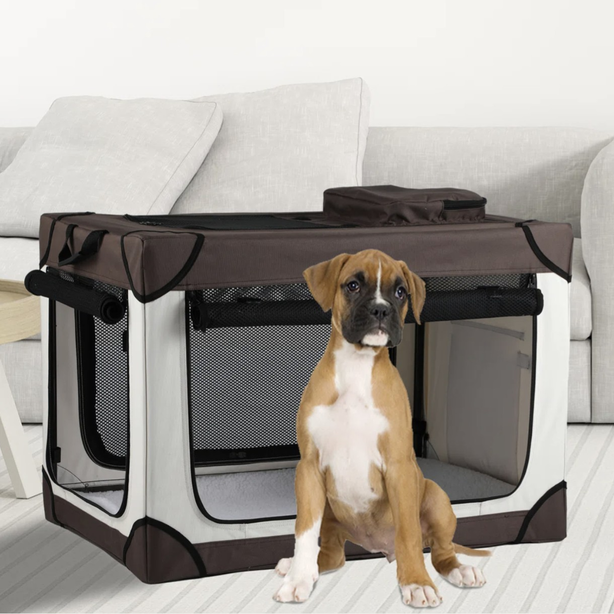 A brown and white puppy sits next to a portable pet crate with mesh panels and a black and white color scheme. The crate is placed in a living room setting with a light-colored sofa in the background.