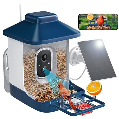 A smart bird feeder with an integrated camera and solar panel, allowing remote viewing of birds via a smartphone app.