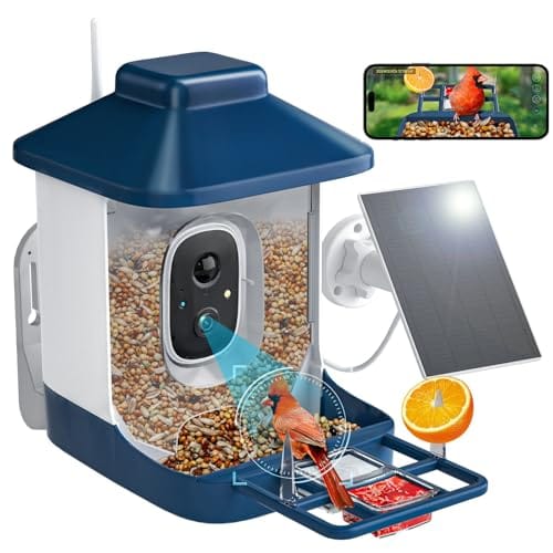 A smart bird feeder with an integrated camera and solar panel, allowing remote viewing of birds via a smartphone app.