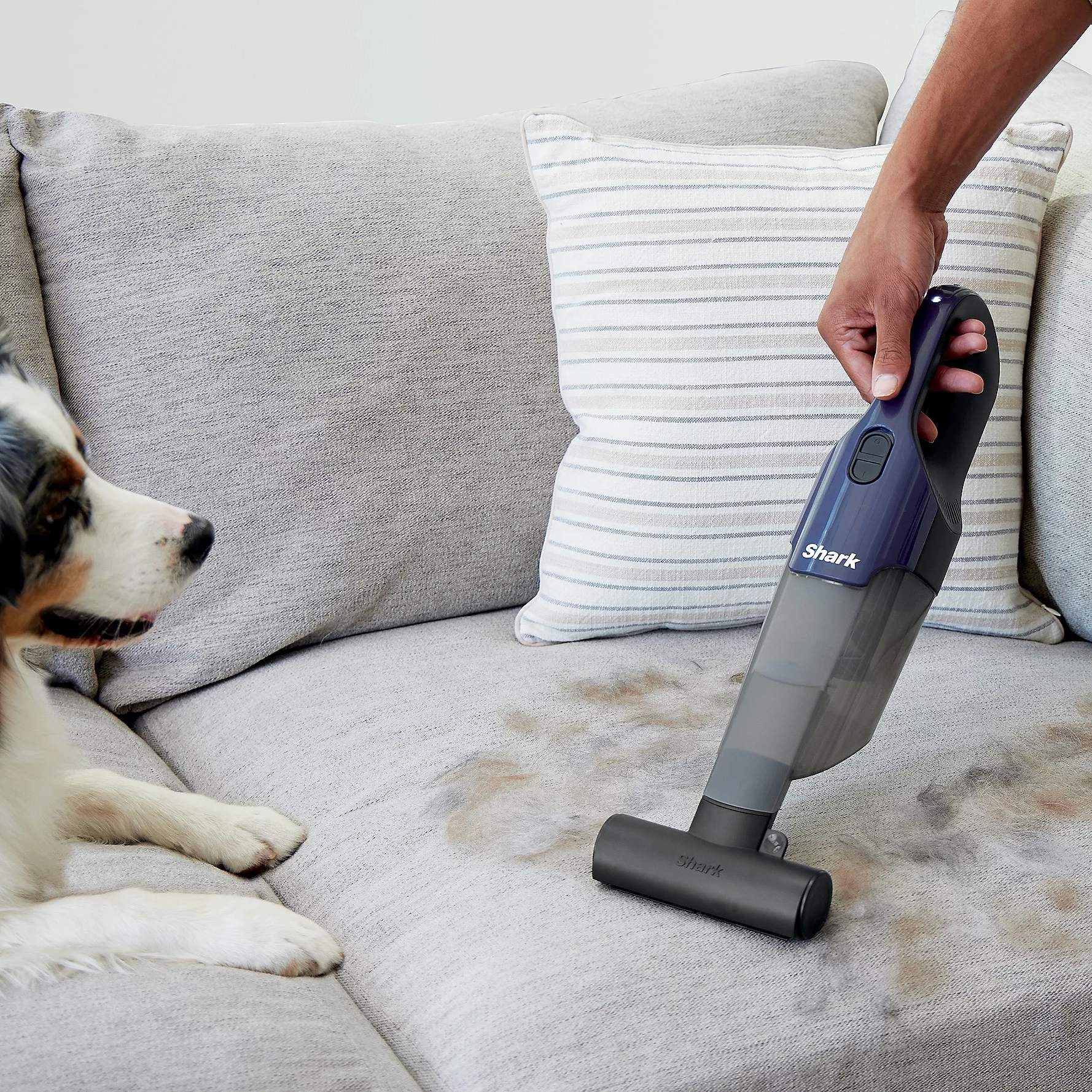 A handheld vacuum by Shark with a compact design and nozzle attachment is being used to clean a couch cushion with pet stains.