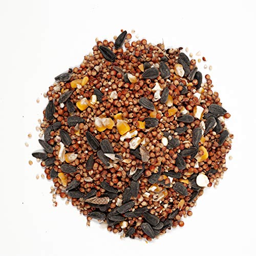 A blend of various birdseeds including sunflower seeds, millet, and corn, designed to attract wild birds.