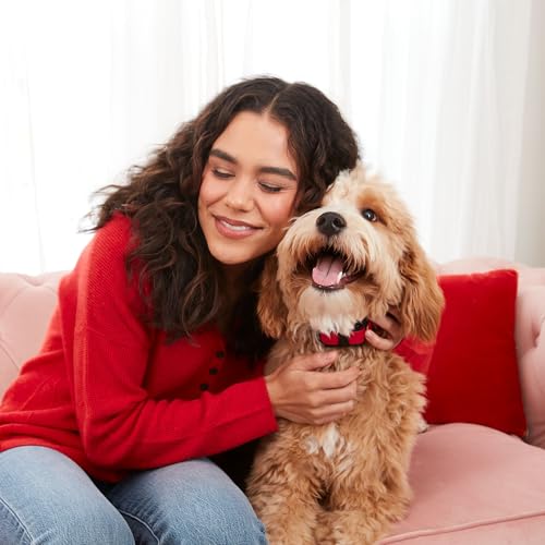 A woman wearing a red sweater is sitting on a pink couch, hugging a fluffy dog with a collar.