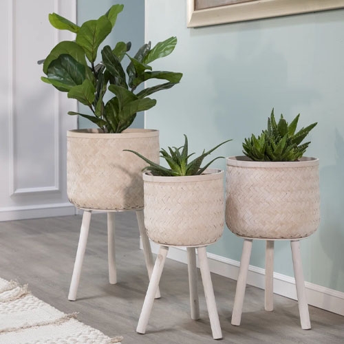 Three round woven bamboo and pine wood planters in varying heights, each with three white legs. The planters contain different green plants, adding a stylish and natural touch to the decor.