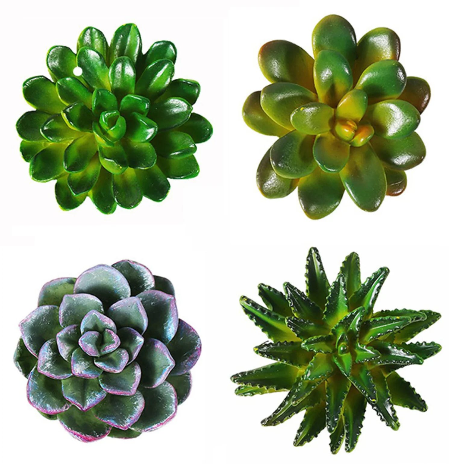 Four artificial succulents with varying shapes and shades of green; one with rounded leaves, one with broader leaves, one resembling a rosette, and another with pointed, spiky leaves.