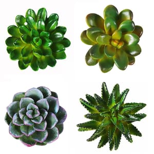 Four artificial succulents with varying shapes and shades of green; one with rounded leaves, one with broader leaves, one resembling a rosette, and another with pointed, spiky leaves.