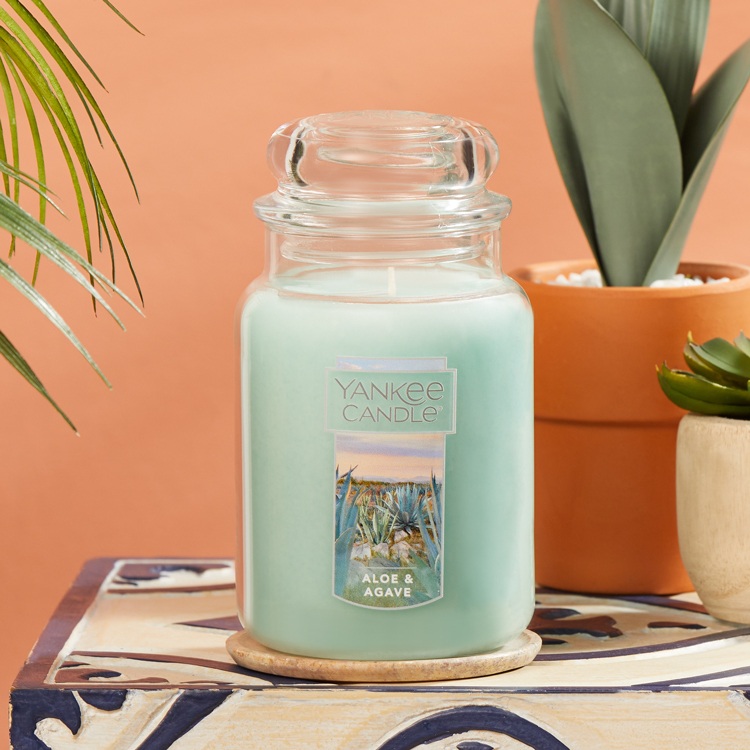 A large, light blue Yankee Candle with an 'Aloe & Agave' label, next to potted plants.