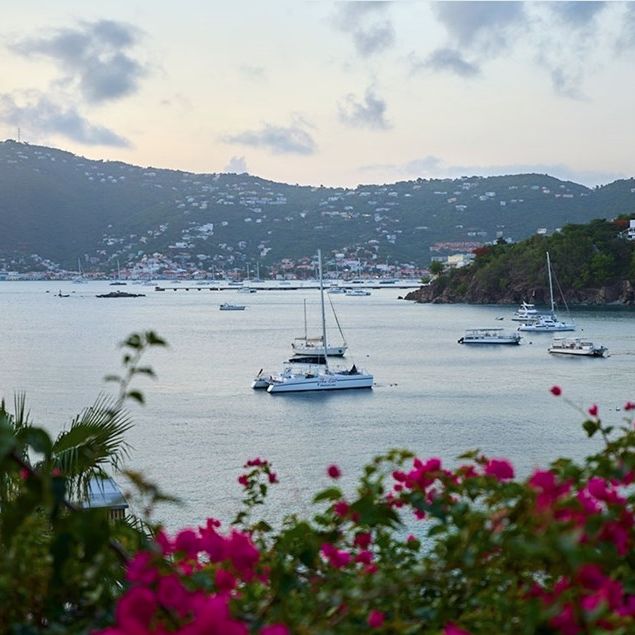 A serene coastal scene featuring several sailboats and yachts anchored in a picturesque bay, surrounded by lush hills and vibrant pink flowers in the foreground.