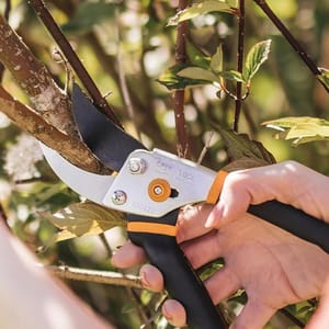 Fiskars Bypass Pruning Shears feature sharp, curved blades for clean cuts, an ergonomic handle for comfort, and a locking mechanism for safety. They're ideal for trimming branches and stems in gardening tasks.
