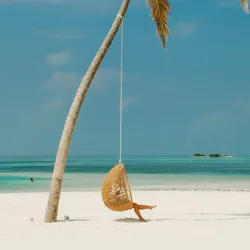A person relaxes in a woven hanging chair suspended from a leaning palm tree on a pristine beach, with turquoise ocean water in the background.