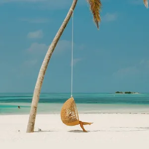 A person relaxes in a woven hanging chair suspended from a leaning palm tree on a pristine beach, with turquoise ocean water in the background.