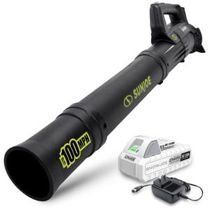 Sun Joe leaf blower with a maximum speed of 100 MPH, accompanied by an iONMAX 24V battery and charging adapter.