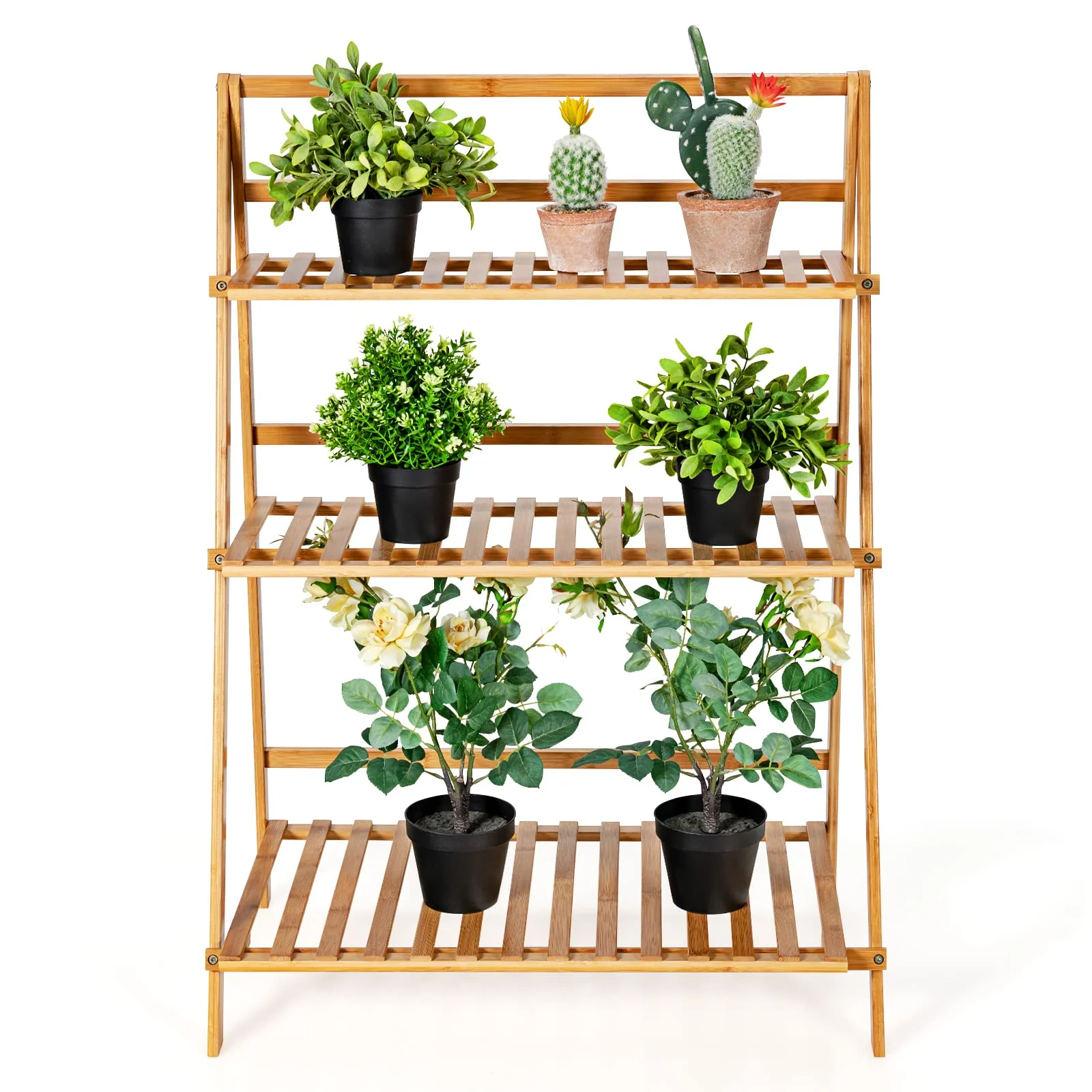 A wooden plant shelf with three tiers holds potted plants, including a variety of green leafy plants and a cactus. Each shelf features slatted design for drainage and airflow.