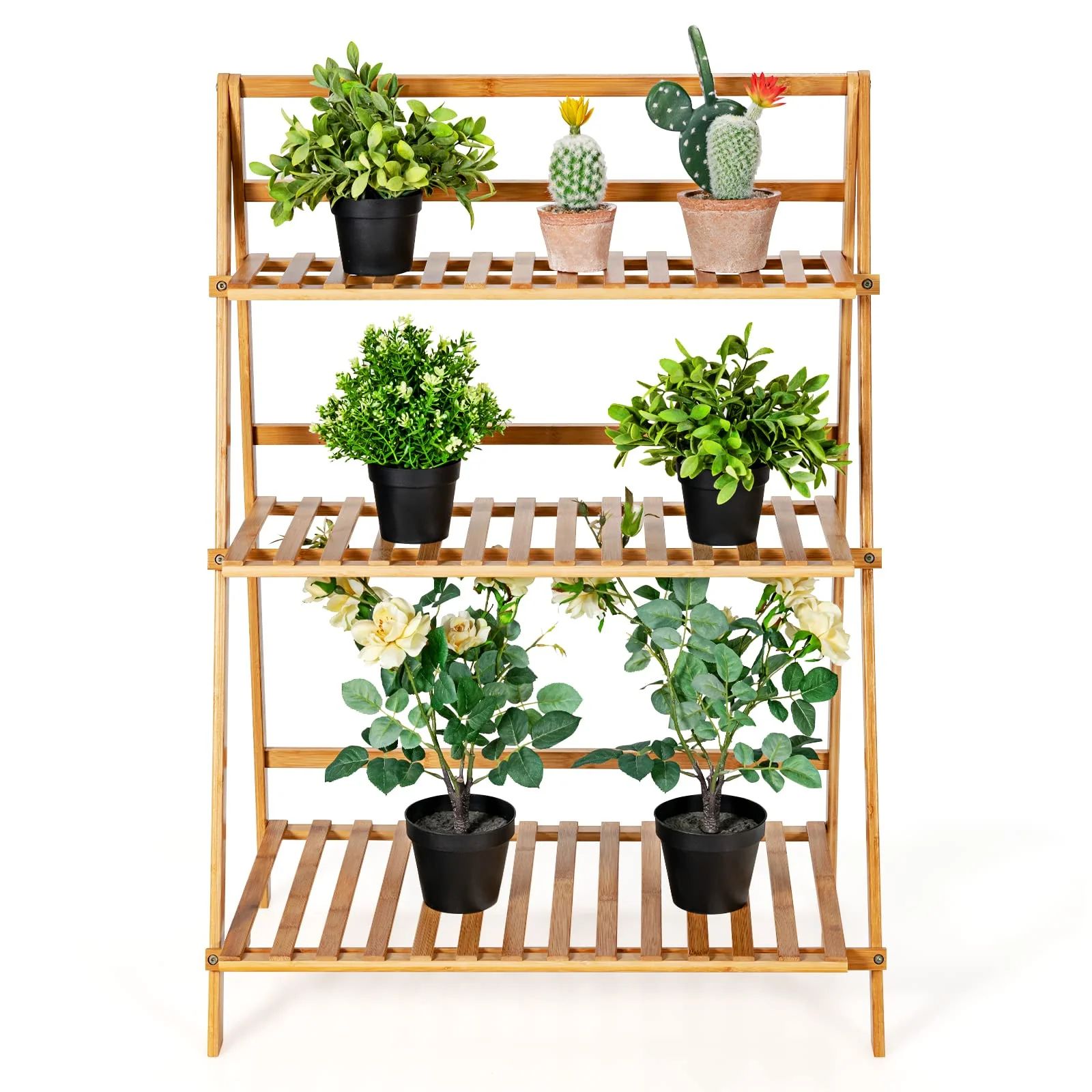 A wooden plant shelf with three tiers holds potted plants, including a variety of green leafy plants and a cactus. Each shelf features slatted design for drainage and airflow.