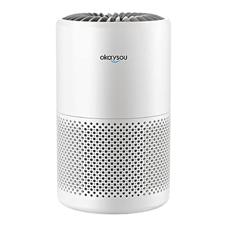 White cylindrical air purifier with perforations on the lower half and the Okaysou brand name on top.