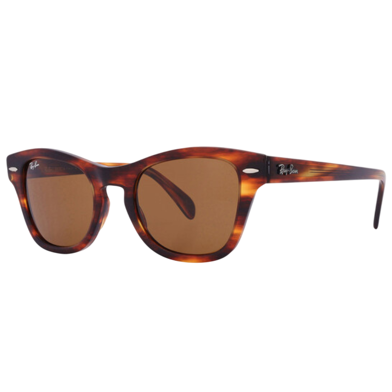 Tortoise-shell sunglasses with brown lenses and Ray-Ban branding on the temple.