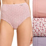 Women's high-waisted underwear with a pink floral pattern, accompanied by three folded pairs in solid pink, floral, and lavender colors.