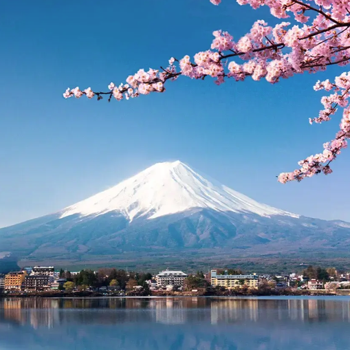 A scenic view featuring cherry blossoms in the foreground, a tranquil lake, and Mount Fuji in the background under a clear blue sky.
