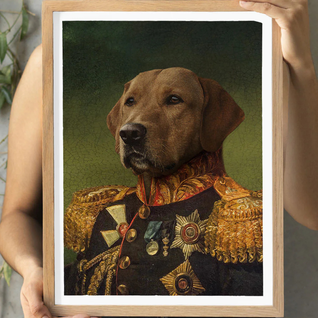 A framed portrait depicts a dog in a regal military uniform adorned with medals and decorative elements.