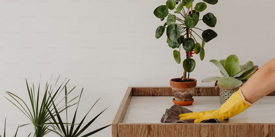 a hand in a yellow glove cleaning a white table in front of a green plant