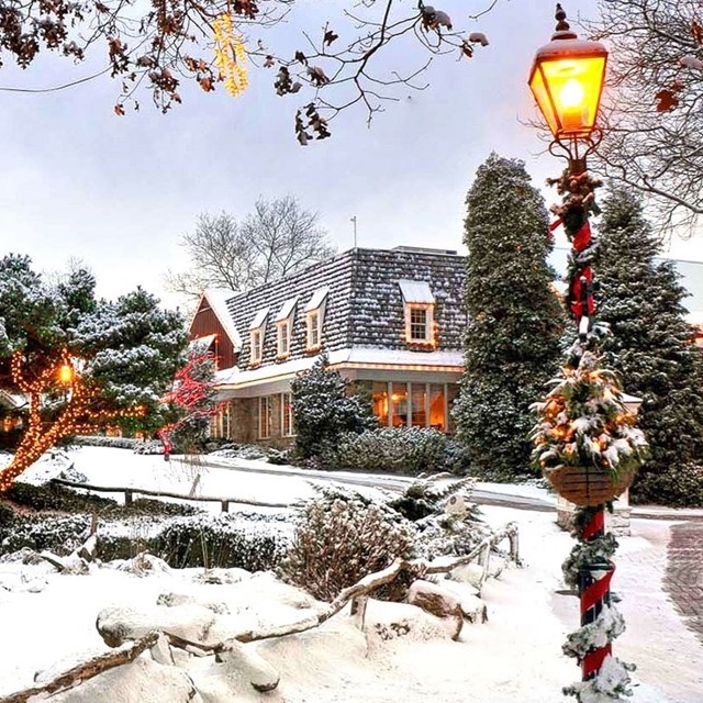 A snowy scene featuring a cozy house with festive holiday lights on trees and a decorated street lamp, surrounded by snow-covered trees and shrubs.
